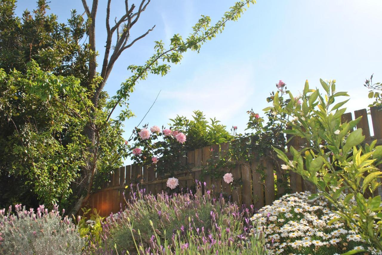 Wai O Taiki Bay B&B Auckland Exteriér fotografie